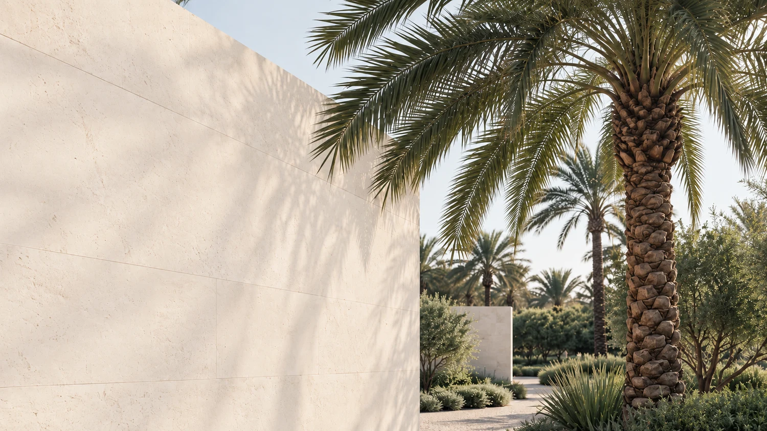 Date palms and sunlit limestone in a quiet Saudi-inspired courtyard
